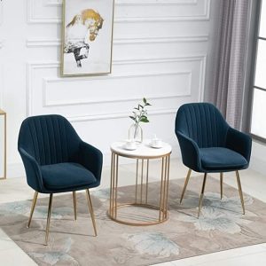 Blue Accent Chairs